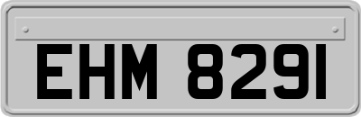 EHM8291