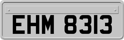 EHM8313