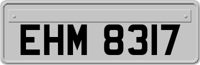 EHM8317