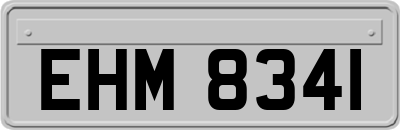 EHM8341
