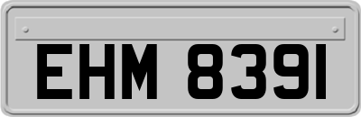 EHM8391