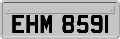 EHM8591