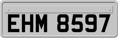 EHM8597