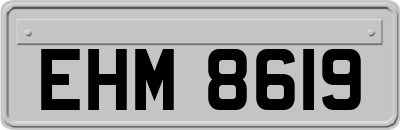 EHM8619