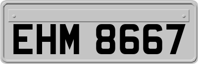 EHM8667