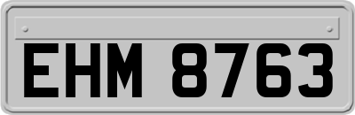 EHM8763