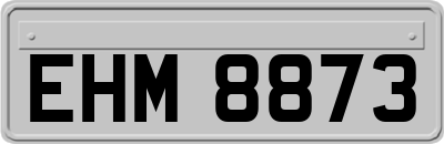 EHM8873
