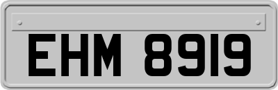 EHM8919