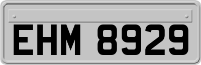 EHM8929