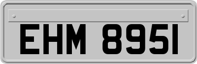 EHM8951