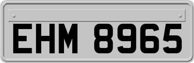 EHM8965