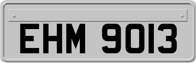 EHM9013