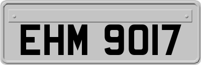 EHM9017