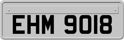 EHM9018