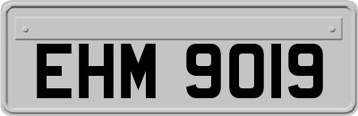 EHM9019