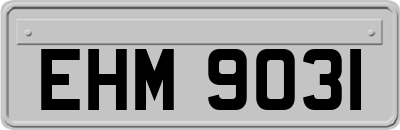 EHM9031
