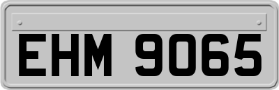 EHM9065