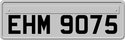 EHM9075