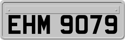 EHM9079