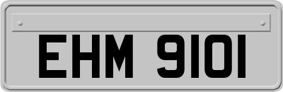 EHM9101