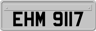 EHM9117