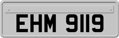 EHM9119