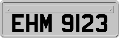 EHM9123