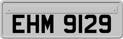 EHM9129