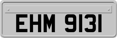 EHM9131