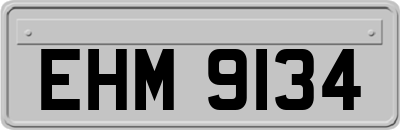 EHM9134