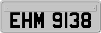 EHM9138