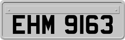 EHM9163