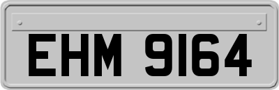 EHM9164