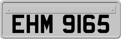 EHM9165
