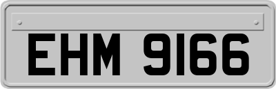EHM9166