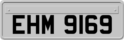 EHM9169