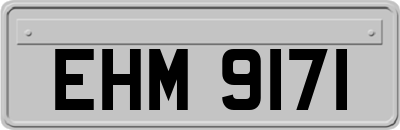 EHM9171