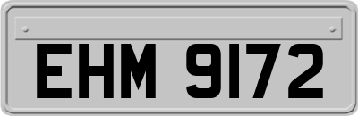 EHM9172