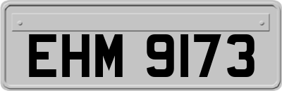 EHM9173