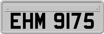 EHM9175