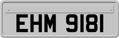 EHM9181