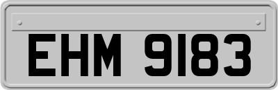 EHM9183