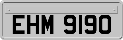 EHM9190