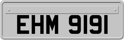 EHM9191