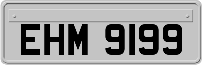 EHM9199
