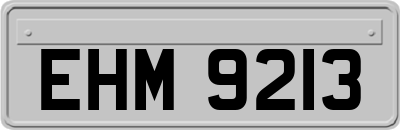 EHM9213