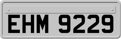 EHM9229