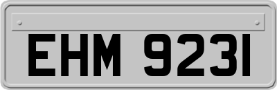 EHM9231
