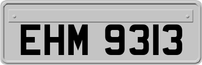 EHM9313