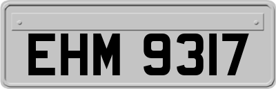 EHM9317
